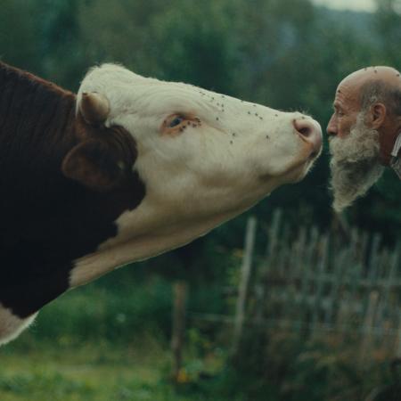 Film Raději zešílet v divočině slovenského režiséra Miro Rema