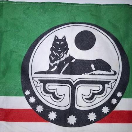Vlajka Čečenské republiky