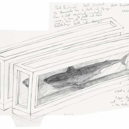 Damien Hirst: Untitled (Tiger Shark in Tank), 2003