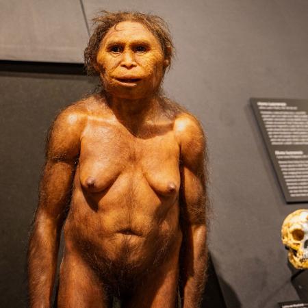Ikonický předek člověka "Lucy"