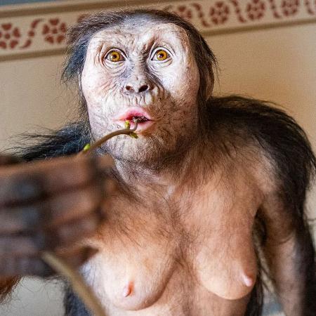 Ikonický předek člověka "Lucy"