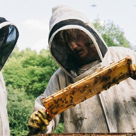 Nejnovější film Yorgose Lanthimose Bugonia