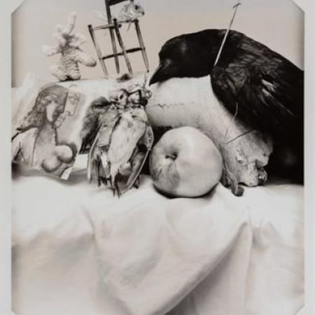 Joel-Peter Witkin: Rozbitý svět