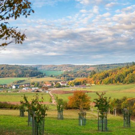 Vohančice – Komplex protierozních opatření a krajinářských úprav, Zahradní a krajinářská tvorba