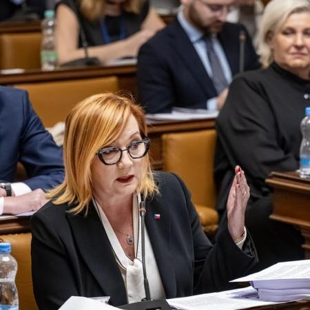 BŘEZEN: Předsedkyně poslaneckého klubu hnutí ANO Alena Schillerová podala k Ústavnímu soudu (ÚS) návrh na zrušení loni schválené vládní důchodové reformy. ÚS v červnu její návrh zamítl.