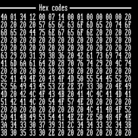 První počítačový virus Brain byl 19. ledna 1986 zaznamenán v Pákistánu