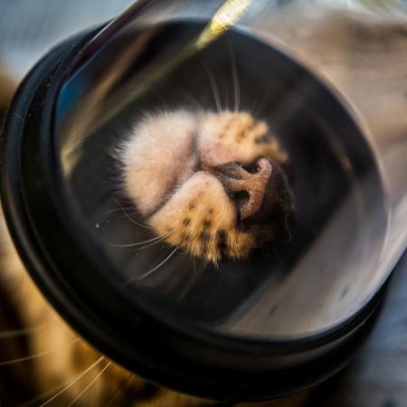 ČLOVĚK A ŽIVOTNÍ PROSTŘEDÍ Denisa Zbranková Albaniová, V detailu