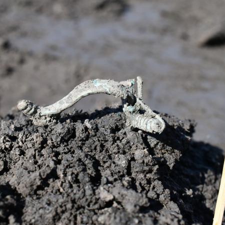 ČERVENEC: V trase budoucí dálnice D35 na Královéhradecku archeologové objevili sídliště z doby laténské. Svým rozsahem a charakterem nemá v ČR obdoby. Vrcholná fáze osídlení spadá do 2. století před naším letopočtem.