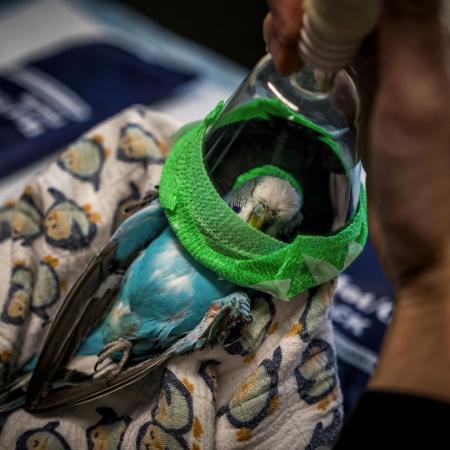 2. místo v kategorii ČLOVĚK A ŽIVOTNÍ PROSTŘEDÍ, 2. místo v kategorii ČLOVĚK A ŽIVOTNÍ PROSTŘEDÍ, Denisa Zbranková Albaniová, V detailu, V detailu