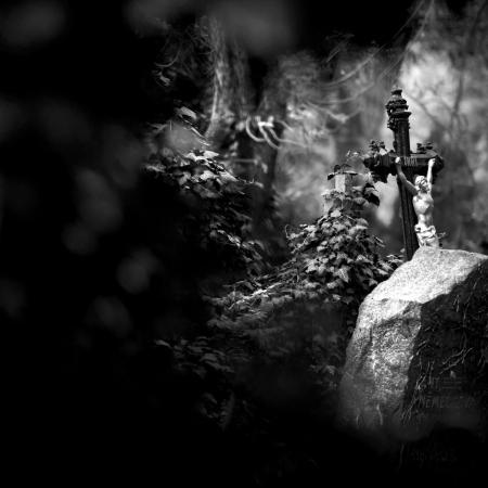 GRANT PRAHY, Kateřina Šulová, Olšanské hřbitovy v detailu