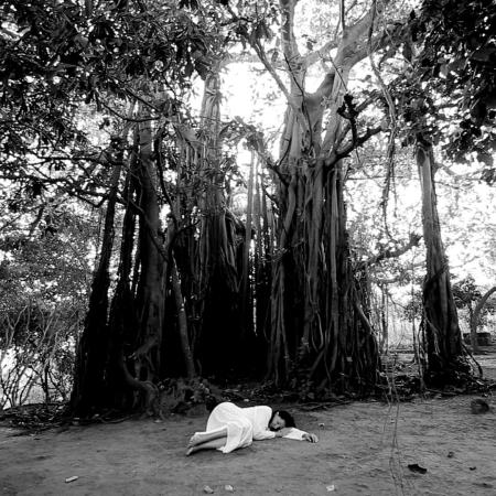 Marina Abramović | Sleeping Under the Banyan Tree 2010