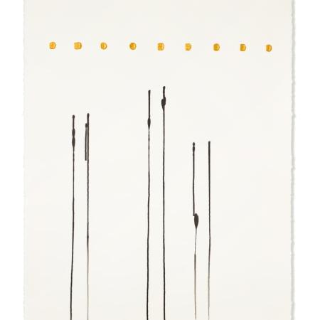 Milan Cais: Cílová rovinka