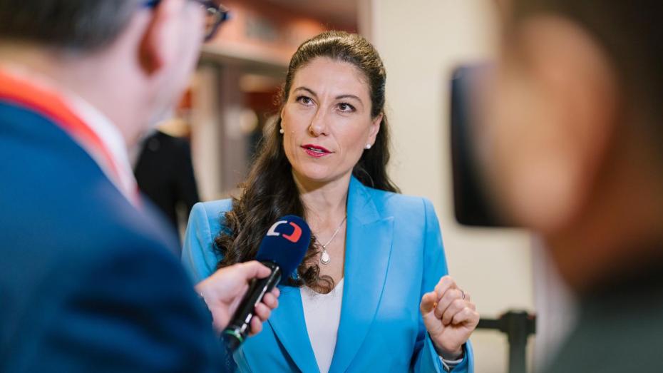 Poslankyně Eva Decroix
