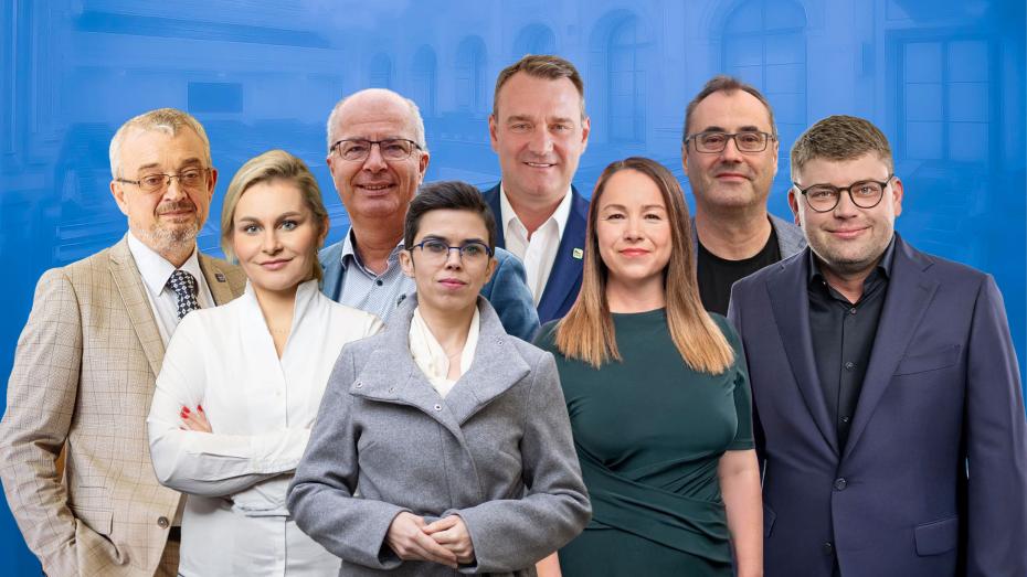 Zleva Marek Bendaa (ODS), Taťána Malá (ANO), Tom Philipp (KDU-ČSL), Olga Richterová (Piráti), Radim Filala (SPD), Michaela Šebelová (STAN), Boris Šťastný (Motorisé) a Jan Jakob (TOP 09).