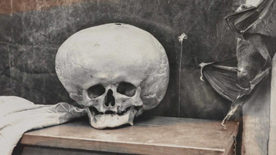 Snímek amerického fotografa Joela-Petera Witkina z výstavy v DOXu