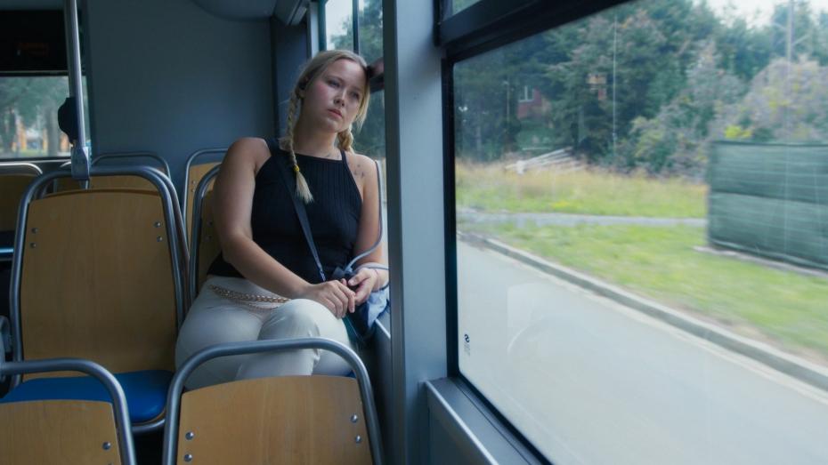 Dokument Virtuální přítelkyně 