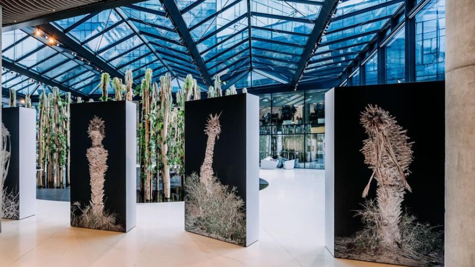 Výstava Michala Adamovského Broken Flowers v Artiu by KKCG