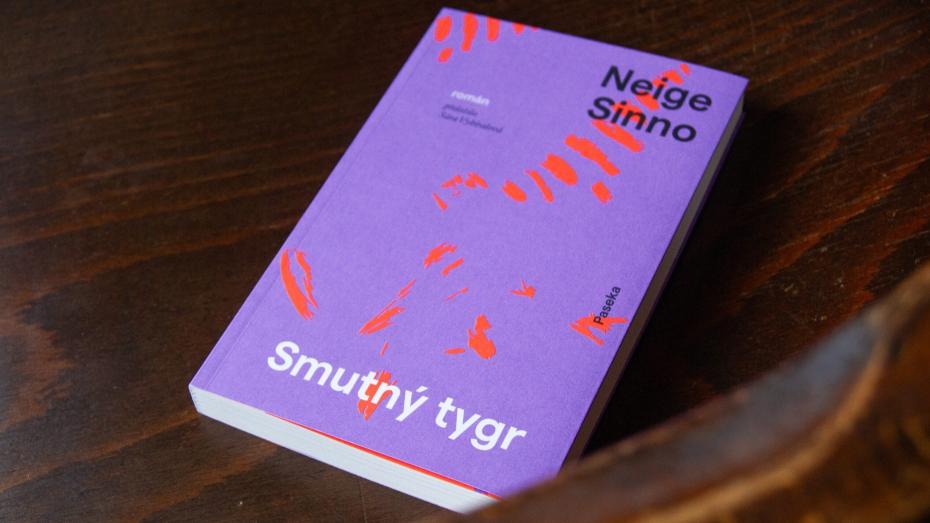 Smutný tygr líčí osobní zkušenost Neige Sinno se sexuálním zneužíváním v dětství