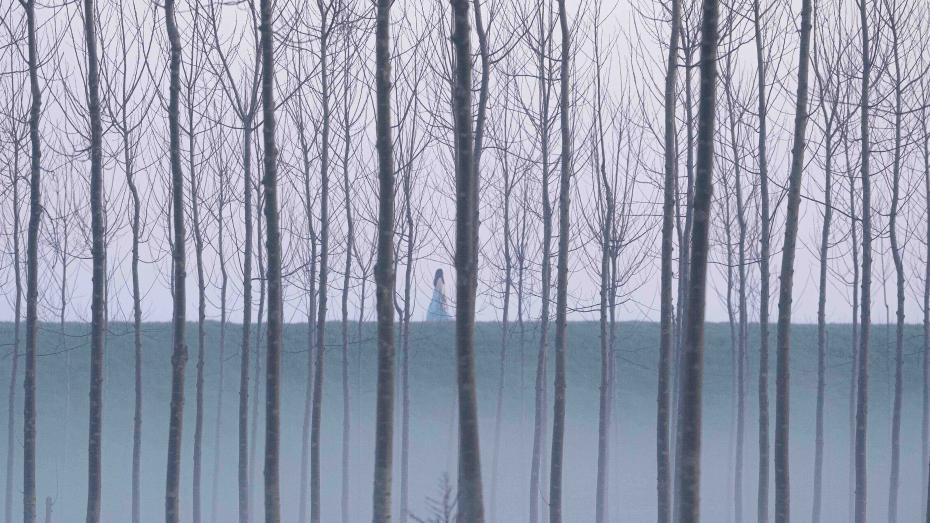 Sorrentinův snímek natočila italská kameramanka Daria D'Antonio