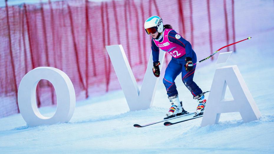 Ilustrační grafika