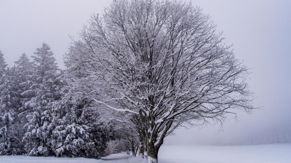 sníh - ilustrační foto