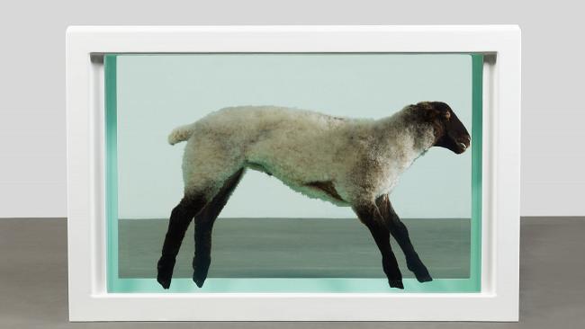 Dílo Damiena Hirsta Away From The Flock je součástí právě probíhající výstavy ve vídeňské Albertině Modern.