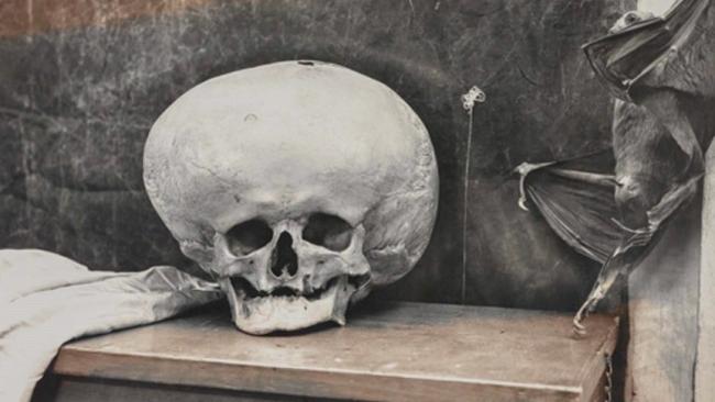 Snímek amerického fotografa Joela-Petera Witkina z výstavy v DOXu